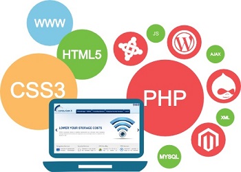 Web Development